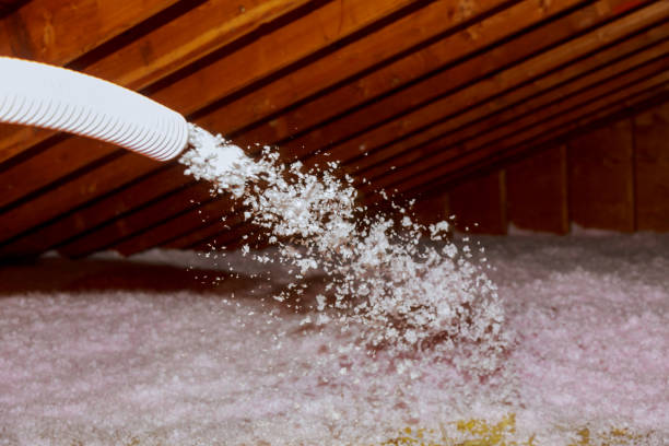 Types of Insulation We Offer in University, FL