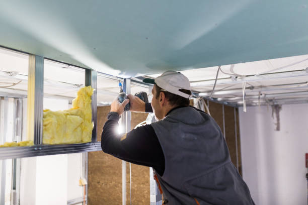 Professional Insulation Contractor in University, FL