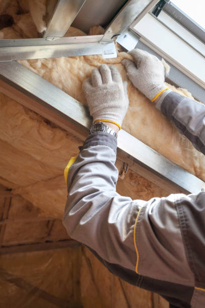 Best Specialized Insulation Services in University, FL