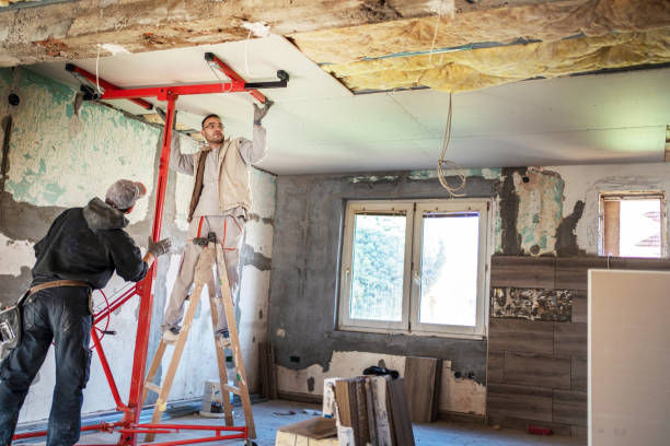 Best Insulation Maintenance and Repair in University, FL