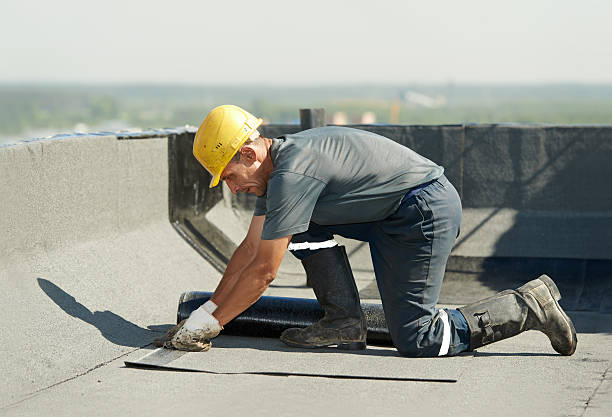 Best Energy Efficiency Insulation in University, FL