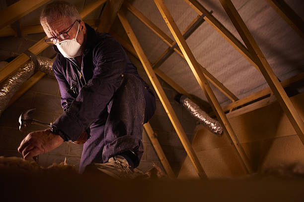 Best Energy Efficiency Insulation in University, FL